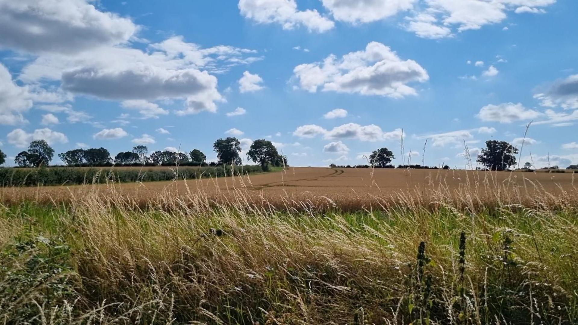 A Quiet Gem Just Outside Oundle Appartement Buitenkant foto